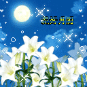 中秋节祝福QQ表情（一）41