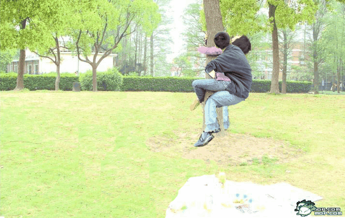 爬树的女人搞笑微信表情