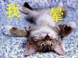 微信搞笑表情之行为类